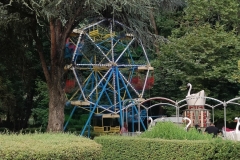 IMG20210723201907