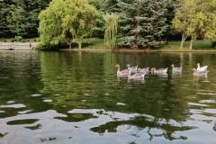 IMG20210723203246