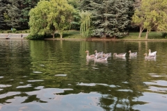 IMG20210723203247