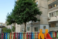 IMG20210728195147