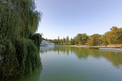 IMG20210729191658