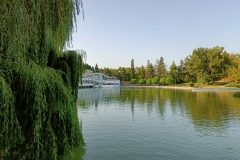 IMG20210729191708