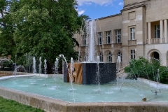 IMG_20210607_171053