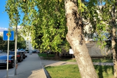 IMG_20210607_190013