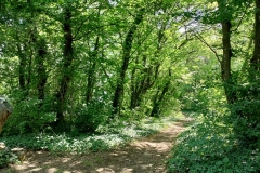 IMG_20210613_101404