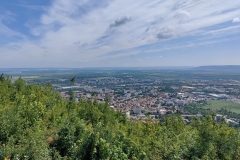 IMG_20210613_105750