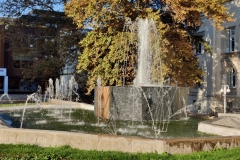 IMG_20201122_145001