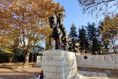 IMG_20201122_145851