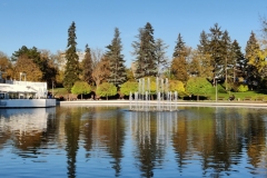 IMG_20201122_151221