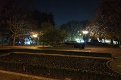 IMG_20201122_181941