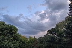 IMG_20220912_190047