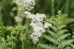 IMG_20230610_122703