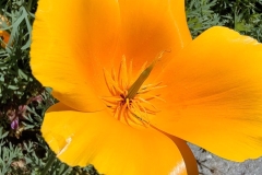 IMG_20230610_145836
