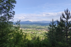IMG_20230610_182241