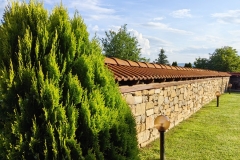 IMG_20230610_185440