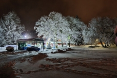 IMG_20210127_182447