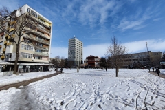 IMG_20210129_112654
