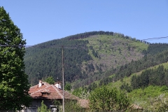 IMG_20210430_114521