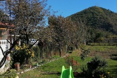 IMG_20201023_132412_1