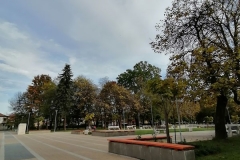 IMG_20201024_152538