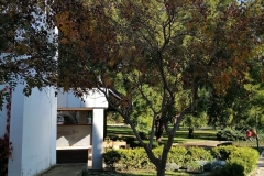 IMG_20201101_140427