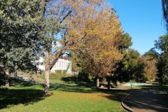 IMG_20201101_140509