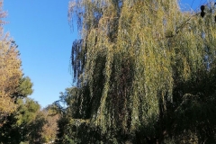 IMG_20201101_140512