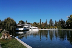IMG_20201101_141019