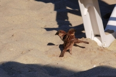 IMG_20200801_175440