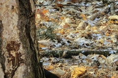 IMG_20220119_100717