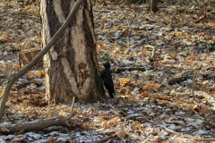 IMG_20220119_100725