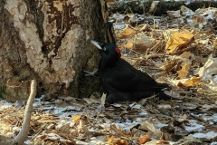 IMG_20220119_100738