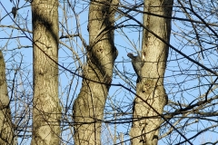 IMG_20220119_100837