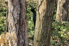 IMG_20220119_100855