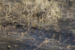 IMG_20220120_124459