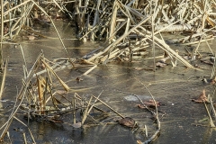 IMG_20220120_124503