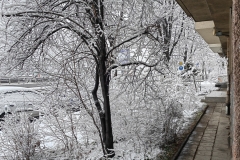 IMG_20220121_084905