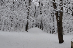 IMG_20220121_144910