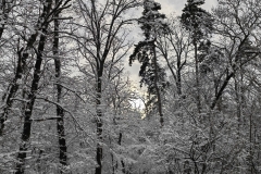 IMG_20220121_150623