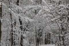 IMG_20220121_150632