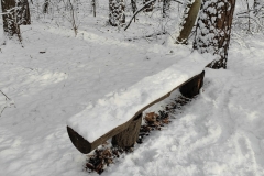 IMG_20220121_151157