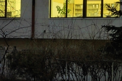IMG_20220124_172936