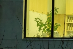 IMG_20220124_172942