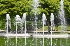 IMG_20240520_141631