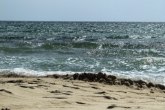 _cuva
