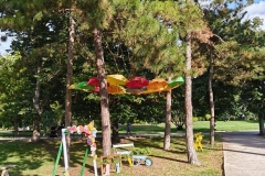 IMG_20240807_180018057