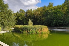 IMG_20240807_180620787