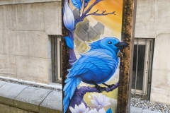 IMG_20240807_183819614