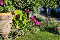 IMG_20220909_083438