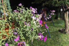IMG_20240714_221326